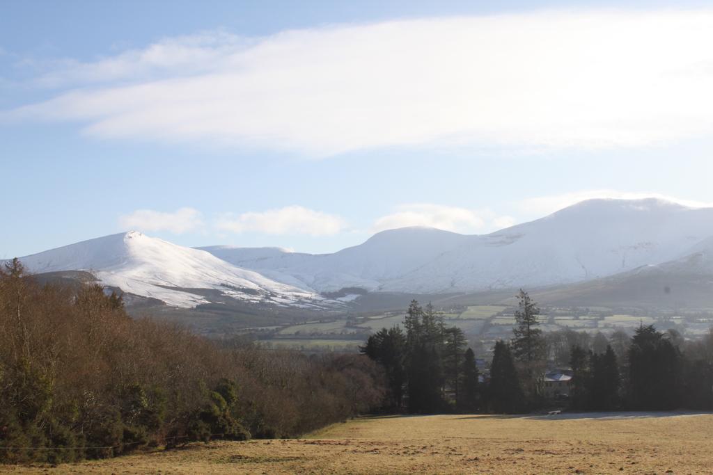 Ballinacourty House B&B Tipperary Eksteriør billede