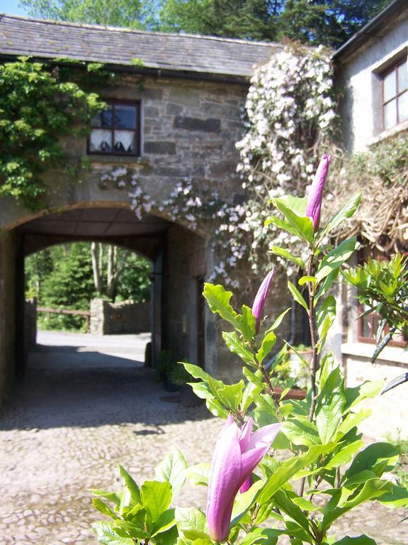 Ballinacourty House B&B Tipperary Eksteriør billede