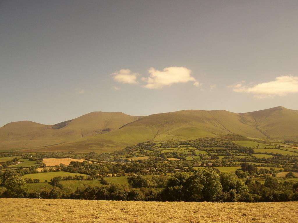 Ballinacourty House B&B Tipperary Eksteriør billede