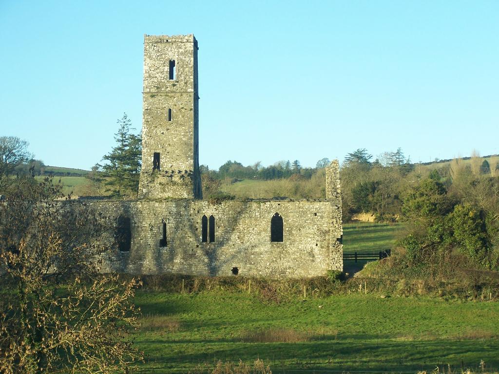 Ballinacourty House B&B Tipperary Eksteriør billede