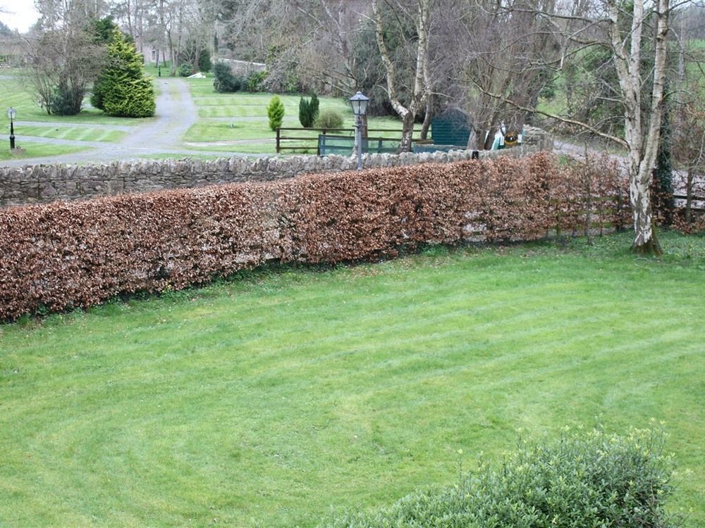 Ballinacourty House B&B Tipperary Eksteriør billede