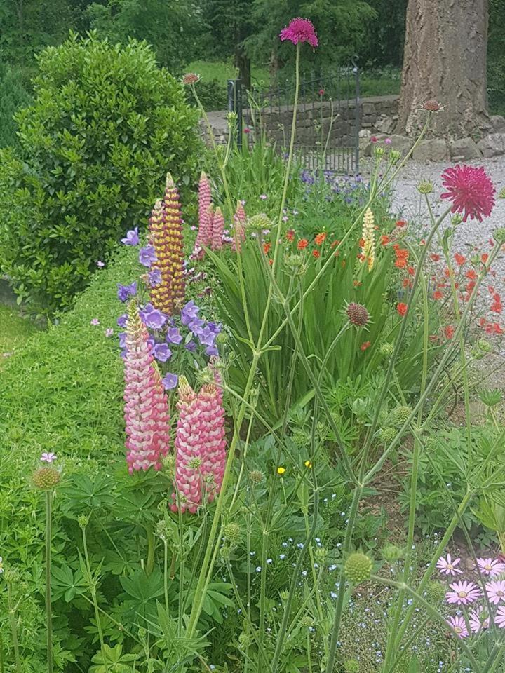 Ballinacourty House B&B Tipperary Eksteriør billede